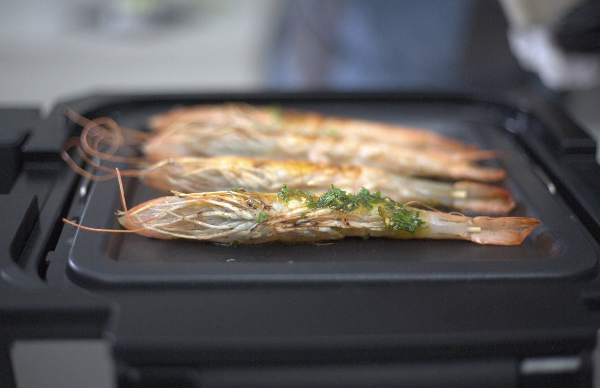gourmax pro smart cooker