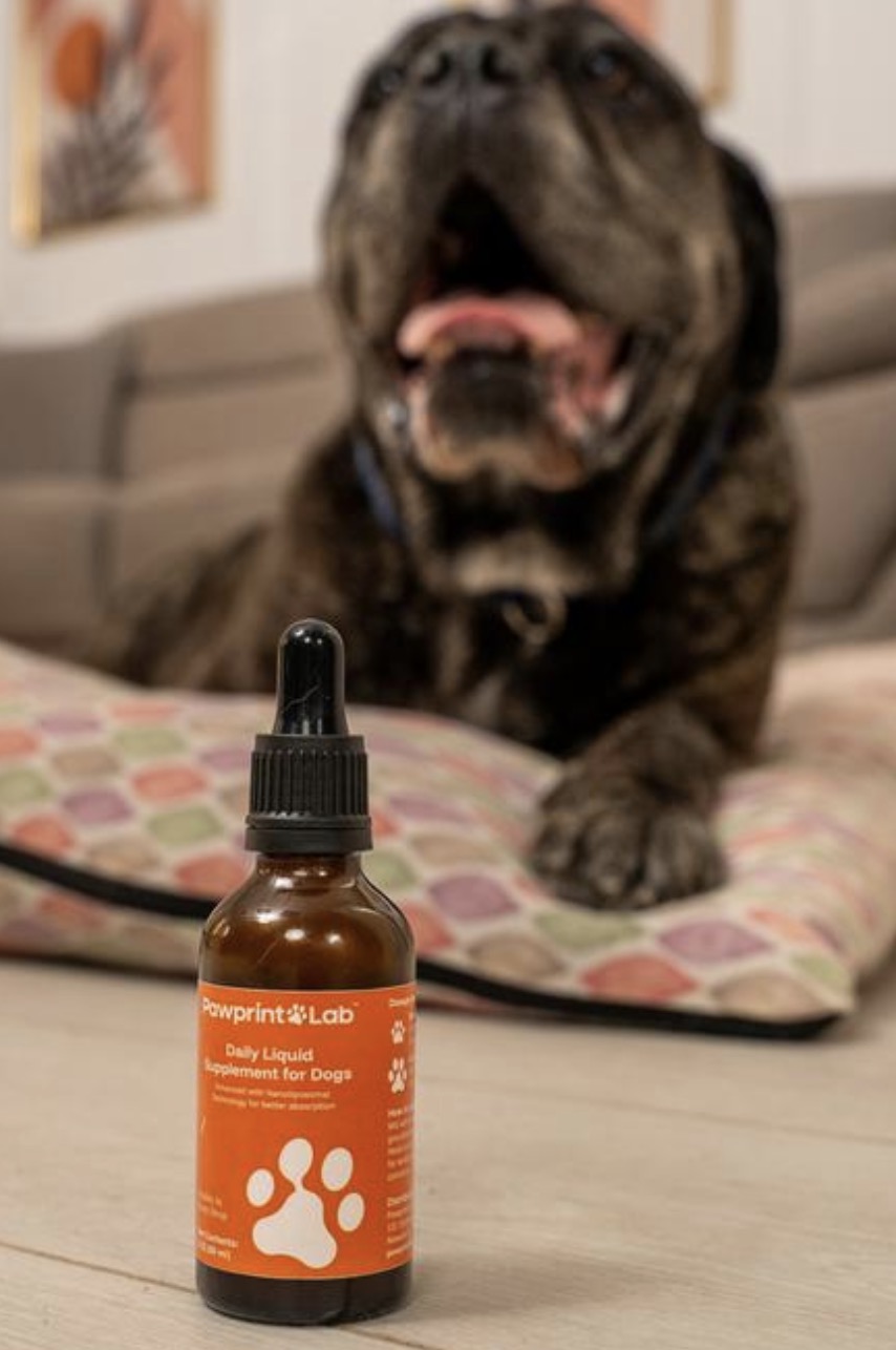 pawprint lab dog supplement